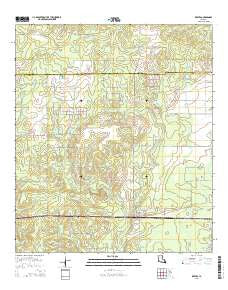 Reeves Louisiana Current topographic map, 1:24000 scale, 7.5 X 7.5 Minute, Year 2015