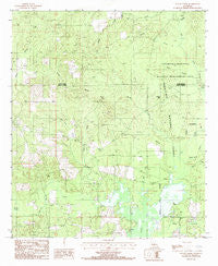 Savage Creek Louisiana Historical topographic map, 1:24000 scale, 7.5 X 7.5 Minute, Year 1985