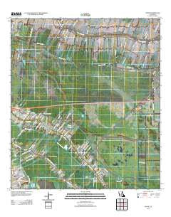 Savoie Louisiana Historical topographic map, 1:24000 scale, 7.5 X 7.5 Minute, Year 2012