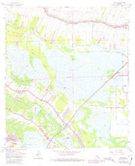 Savoie Louisiana Historical topographic map, 1:24000 scale, 7.5 X 7.5 Minute, Year 1963