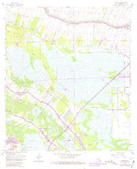 Savoie Louisiana Historical topographic map, 1:24000 scale, 7.5 X 7.5 Minute, Year 1963