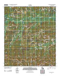 Simpson South Louisiana Historical topographic map, 1:24000 scale, 7.5 X 7.5 Minute, Year 2012