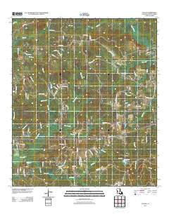Slagle Louisiana Historical topographic map, 1:24000 scale, 7.5 X 7.5 Minute, Year 2012