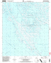 South Pass Louisiana Historical topographic map, 1:24000 scale, 7.5 X 7.5 Minute, Year 1998