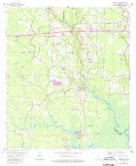 Springfield Louisiana Historical topographic map, 1:24000 scale, 7.5 X 7.5 Minute, Year 1963