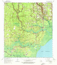 Springfield Louisiana Historical topographic map, 1:62500 scale, 15 X 15 Minute, Year 1963