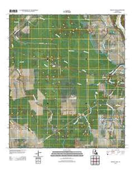 Swayze Lake Louisiana Historical topographic map, 1:24000 scale, 7.5 X 7.5 Minute, Year 2012