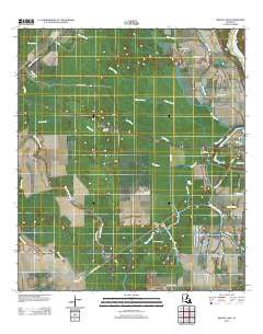 Swayze Lake Louisiana Historical topographic map, 1:24000 scale, 7.5 X 7.5 Minute, Year 2012