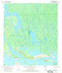 Tiger Island Louisiana Historical topographic map, 1:24000 scale, 7.5 X 7.5 Minute, Year 1969