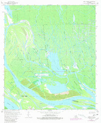 Tiger Island Louisiana Historical topographic map, 1:24000 scale, 7.5 X 7.5 Minute, Year 1969