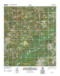 Topsy Louisiana Historical topographic map, 1:24000 scale, 7.5 X 7.5 Minute, Year 2012