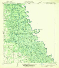 Walkiah Bluff Mississippi Historical topographic map, 1:31680 scale, 7.5 X 7.5 Minute, Year 1942