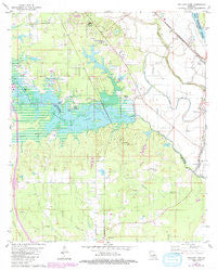 Wallace Lake Louisiana Historical topographic map, 1:24000 scale, 7.5 X 7.5 Minute, Year 1980