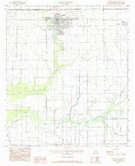 Welsh South Louisiana Historical topographic map, 1:24000 scale, 7.5 X 7.5 Minute, Year 1985