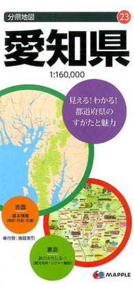 Buy map Aichi Prefecture Map