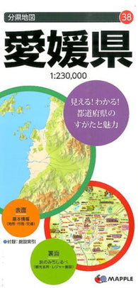 Buy map Ehime Prefecture Map