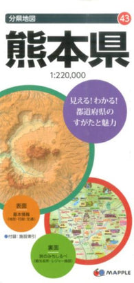 Buy map Kumamoto Prefecture Map