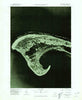 Provincetown Massachusetts Historical topographic map, 1:25000 scale, 7.5 X 7.5 Minute, Year 1977