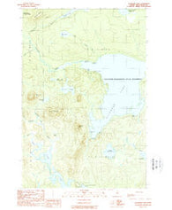 Allagash Lake Maine Historical topographic map, 1:24000 scale, 7.5 X 7.5 Minute, Year 1989