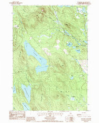 Alligator Lake Maine Historical topographic map, 1:24000 scale, 7.5 X 7.5 Minute, Year 1987