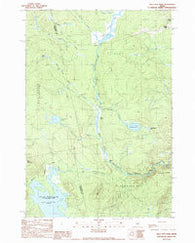 Bald Mtn Pond Maine Historical topographic map, 1:24000 scale, 7.5 X 7.5 Minute, Year 1989