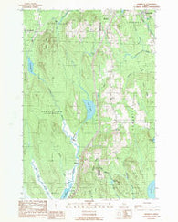 Benedicta Maine Historical topographic map, 1:24000 scale, 7.5 X 7.5 Minute, Year 1989