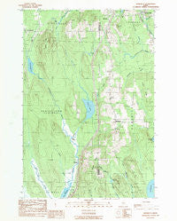 Benedicta Maine Historical topographic map, 1:24000 scale, 7.5 X 7.5 Minute, Year 1989