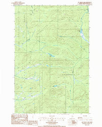 Big Brook Lake Maine Historical topographic map, 1:24000 scale, 7.5 X 7.5 Minute, Year 1986