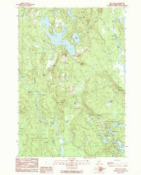 Bog Lake Maine Historical topographic map, 1:24000 scale, 7.5 X 7.5 Minute, Year 1990