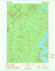 Bosebuck Mountain Maine Historical topographic map, 1:24000 scale, 7.5 X 7.5 Minute, Year 1989