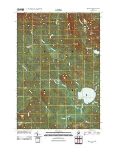 Brandy Pond Maine Historical topographic map, 1:24000 scale, 7.5 X 7.5 Minute, Year 2011