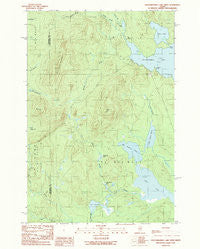 Caucomgomoc Lake West Maine Historical topographic map, 1:24000 scale, 7.5 X 7.5 Minute, Year 1989