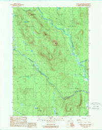 Deasey Mountain Maine Historical topographic map, 1:24000 scale, 7.5 X 7.5 Minute, Year 1989