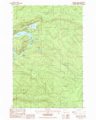 Deboullie Pond Maine Historical topographic map, 1:24000 scale, 7.5 X 7.5 Minute, Year 1985