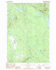 Dimmick Mountain Maine Historical topographic map, 1:24000 scale, 7.5 X 7.5 Minute, Year 1989