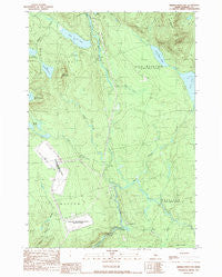 Dimmick Mountain Maine Historical topographic map, 1:24000 scale, 7.5 X 7.5 Minute, Year 1989