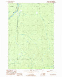 Doucie Brook Maine Historical topographic map, 1:24000 scale, 7.5 X 7.5 Minute, Year 1989