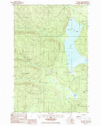 Fish River Lake Maine Historical topographic map, 1:24000 scale, 7.5 X 7.5 Minute, Year 1985