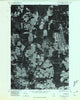 Fort Fairfield NW Maine Historical topographic map, 1:24000 scale, 7.5 X 7.5 Minute, Year 1975