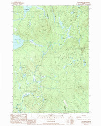 Foster Ridge Maine Historical topographic map, 1:24000 scale, 7.5 X 7.5 Minute, Year 1989