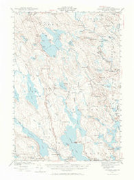 Gardner Lake Maine Historical topographic map, 1:62500 scale, 15 X 15 Minute, Year 1941