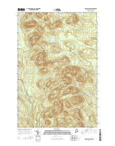 Greenlaw Pond Maine Current topographic map, 1:24000 scale, 7.5 X 7.5 Minute, Year 2014