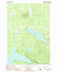Harrington Lake Maine Historical topographic map, 1:24000 scale, 7.5 X 7.5 Minute, Year 1988