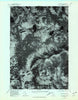 Hay Mountain Maine Historical topographic map, 1:24000 scale, 7.5 X 7.5 Minute, Year 1978