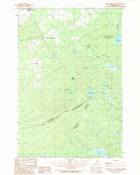 Hurricane Pond Maine Historical topographic map, 1:24000 scale, 7.5 X 7.5 Minute, Year 1989