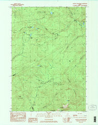 Jackson Mountain Maine Historical topographic map, 1:24000 scale, 7.5 X 7.5 Minute, Year 1984
