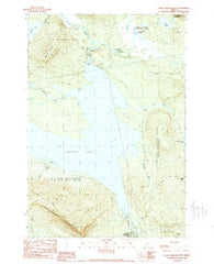 Little Bigelow Mtn Maine Historical topographic map, 1:24000 scale, 7.5 X 7.5 Minute, Year 1989