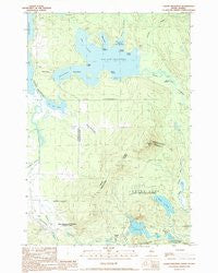 Louise Mountain Maine Historical topographic map, 1:24000 scale, 7.5 X 7.5 Minute, Year 1990