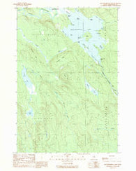 Mattawamkeag Lake Maine Historical topographic map, 1:24000 scale, 7.5 X 7.5 Minute, Year 1989