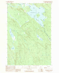 Mattawamkeag Lake Maine Historical topographic map, 1:24000 scale, 7.5 X 7.5 Minute, Year 1989